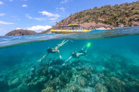 Ocean Rafting Tour To Whitehaven Beach, Hill Inlet Lookout & Top Snorkel Spots - Tourism Noosa 16