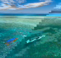 Ocean Safari Great Barrier Reef Experience in Cape Tribulation - Tourism Noosa