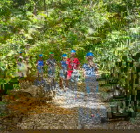 Whitsunday Segway Rainforest Discovery Tour - Tourism Noosa