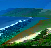 Cairns Reef and Rainforest Combo Daintree Rainforest and the Great Barrier Reef - Tourism Noosa