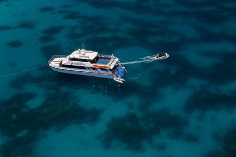 Quicksilver Dive 4 Day PADI Learn To Dive Course - Tourism Noosa 5