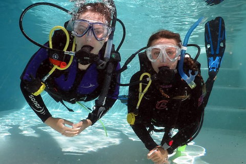 Quicksilver Dive 4 Day PADI Learn To Dive Course - Tourism Noosa 7