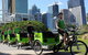 Green Cabs Brisbane Tours - thumb 1