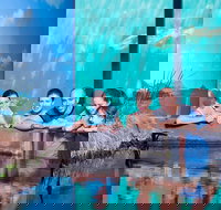 Reef HQ Great Barrier Reef Aquarium General Entry Ticket - Tourism Noosa