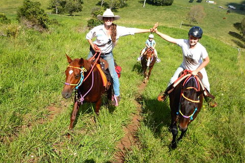 Country Day Ride From Mt Goomboorian With Rainbow Beach Horse Rides - Tourism Noosa 0