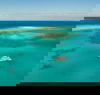Great Barrier Reef Dive and Snorkel Cruise from Mission Beach - Tourism Noosa