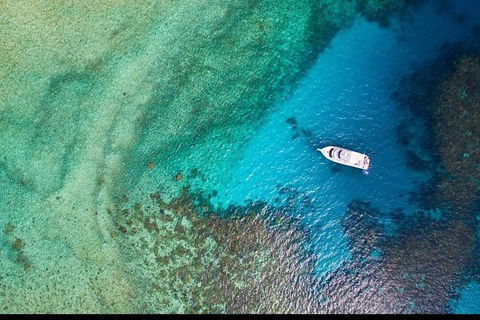 Great Barrier Reef Dive And Snorkel Cruise From Mission Beach - Tourism Noosa 3