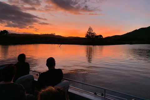 Daintree River Dawn Cruise - Tourism Noosa 8