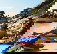 Orpheus Island Day Trip by Helicopter from Townsville - Tourism Noosa