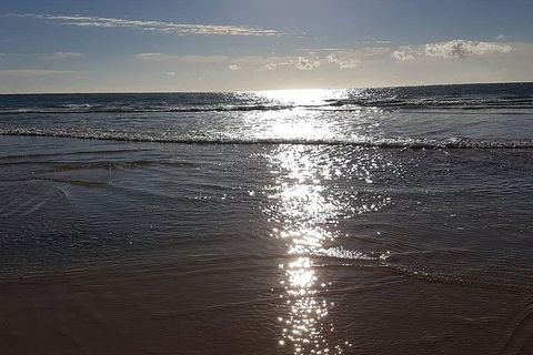 Land Based Game Fishing - Tourism Noosa 2