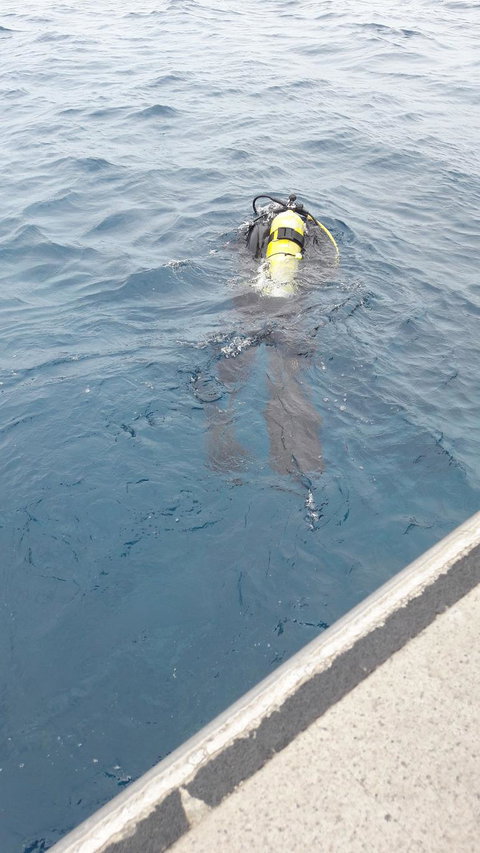 Great Barrier Reef Cruise From Townsville Or Magnetic Island - Tourism Noosa 4