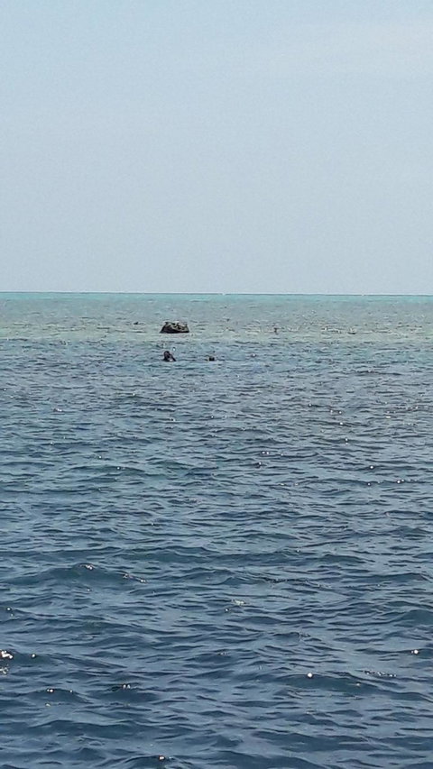 Great Barrier Reef Cruise From Townsville Or Magnetic Island - Tourism Noosa 2