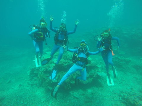 Great Barrier Reef Cruise From Townsville Or Magnetic Island - Tourism Noosa 5