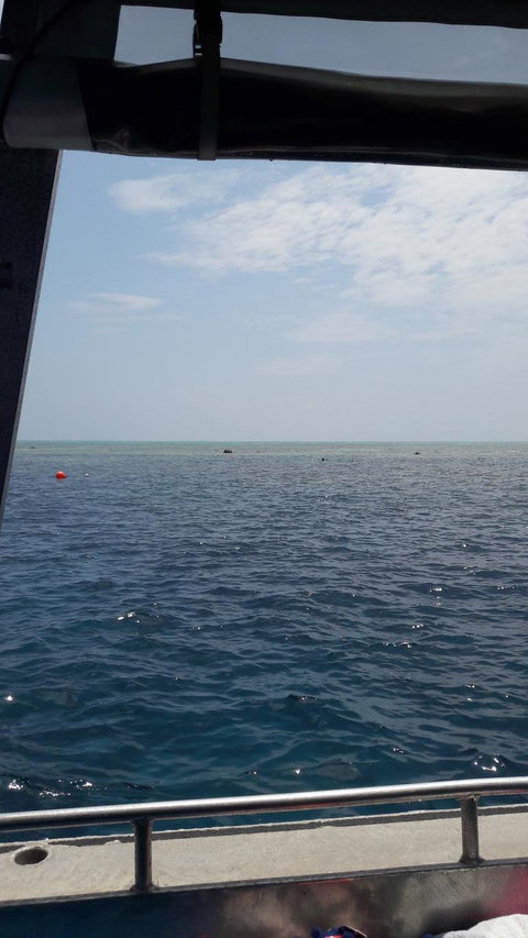 Great Barrier Reef Cruise From Townsville Or Magnetic Island - Tourism Noosa 3