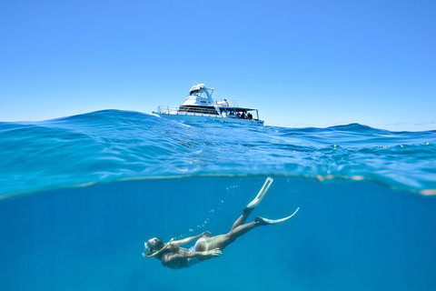 Great Barrier Reef Cruise From Townsville Or Magnetic Island - Tourism Noosa 10