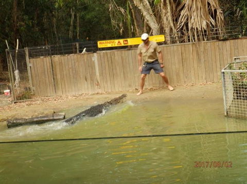 Hartley's Crocodile Adventures Day Trip From Cairns - Tourism Noosa 8