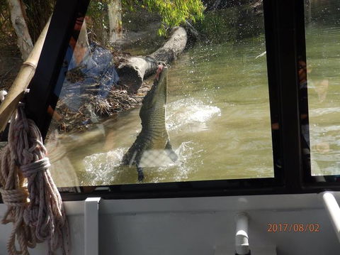 Hartley's Crocodile Adventures Day Trip From Cairns - Tourism Noosa 5