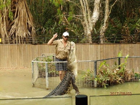 Hartley's Crocodile Adventures Day Trip From Cairns - Tourism Noosa 2