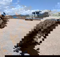 Magnetic Island Tour Maggie Comprehensive - Tourism Noosa