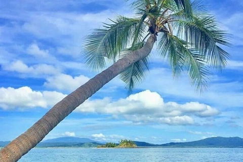 Dunk Island Round-Trip Water Taxi Transfer From Mission Beach - Tourism Noosa 6