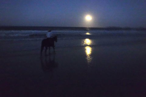 Full Moon Horse Ride At Rainbow Beach - Tourism Noosa 0