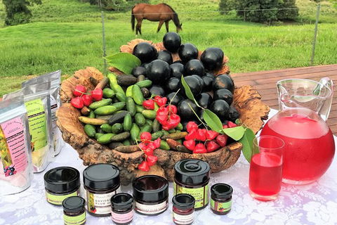 Atherton Tablelands Small-Group Food & Wine Tasting Tour From Port Douglas - Tourism Noosa 12