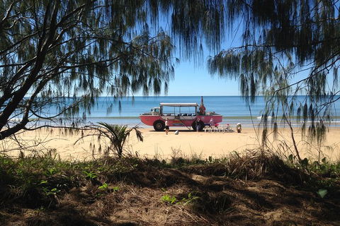 1770 Coastline Tour By LARC Amphibious Vehicle Including Picnic Lunch - Tourism Noosa 0