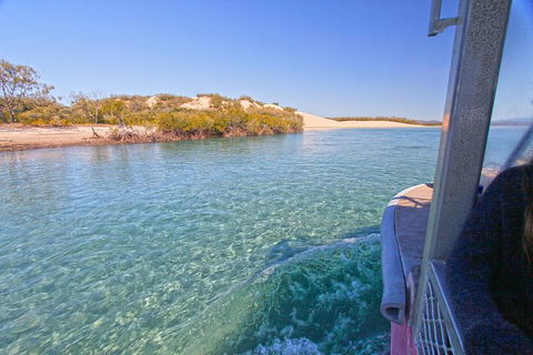 1770 Coastline Tour By LARC Amphibious Vehicle Including Picnic Lunch - Tourism Noosa 12