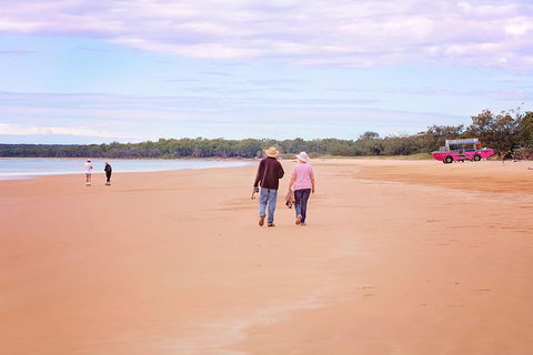 1770 Coastline Tour By LARC Amphibious Vehicle Including Picnic Lunch - Tourism Noosa 3