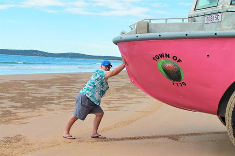 1770 Coastline Tour By LARC Amphibious Vehicle Including Picnic Lunch - Tourism Noosa 7