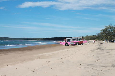 1770 Coastline Tour By LARC Amphibious Vehicle Including Picnic Lunch - Tourism Noosa 6