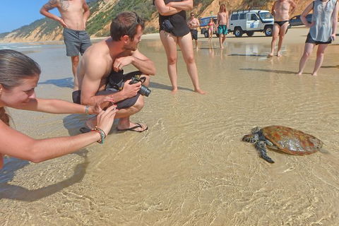 Half-Day Kayak With Dolphins And 4WD Beach Drive From Rainbow Beach - Tourism Noosa 11