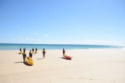 Half-Day Kayak With Dolphins And 4WD Beach Drive From Rainbow Beach - Tourism Noosa 10