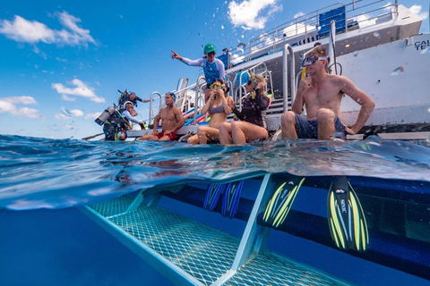 Calypso Outer Great Barrier Reef Cruise From Port Douglas - Tourism Noosa 4