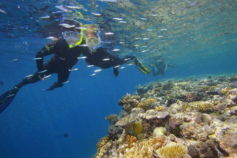 Calypso Outer Great Barrier Reef Cruise From Port Douglas - Tourism Noosa 3