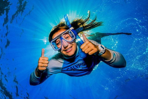 Calypso Outer Great Barrier Reef Cruise From Port Douglas - Tourism Noosa 2