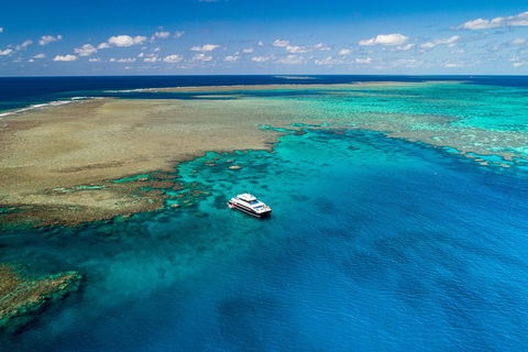 Calypso Outer Great Barrier Reef Cruise From Port Douglas - Tourism Noosa 12