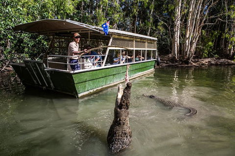 Hartley\'s Crocodile Adventures Day Trip From Palm Cove - Tourism Noosa 2