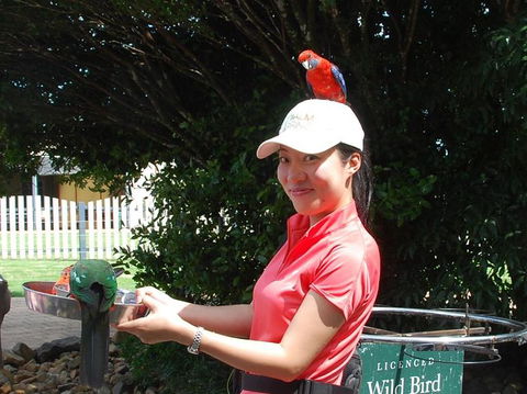 O'Reilly's Lamington National Park And Treetop Canopy Tour - Tourism Noosa 5