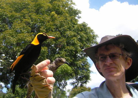 O'Reilly's Lamington National Park And Treetop Canopy Tour - Tourism Noosa 4