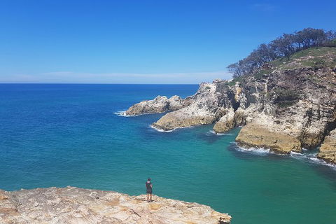 Full-Day Tour To North Stradbroke Island From Brisbane - Tourism Noosa 0