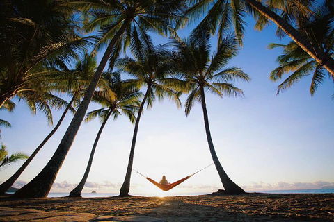 Port Douglas And Hartley's Crocodile Adventure Day Trip From Cairns - Tourism Noosa 0