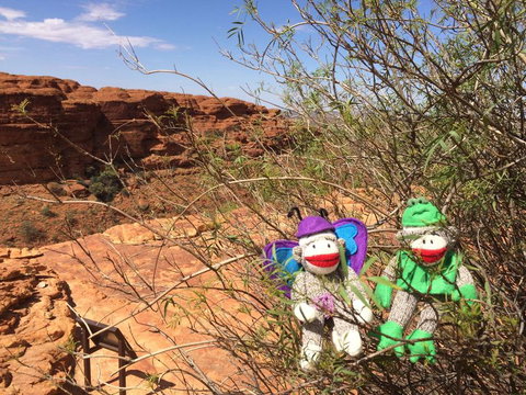 Kings Canyon Day Trip From Ayers Rock - Tourism Noosa 23