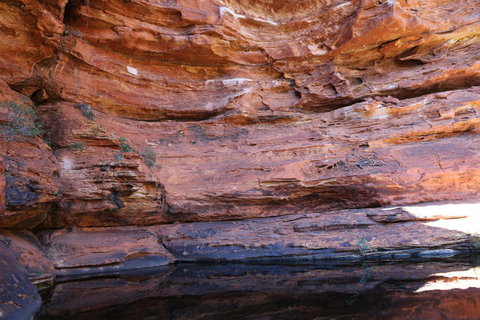 Kings Canyon Day Trip From Ayers Rock - Tourism Noosa 16