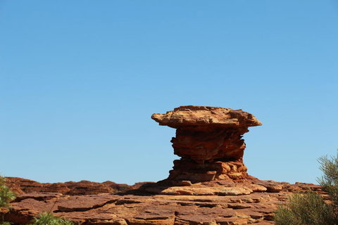 Kings Canyon Day Trip From Ayers Rock - Tourism Noosa 17