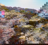 Kings Canyon Day Trip from Ayers Rock - Tourism Noosa