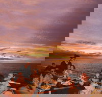 Darwin Harbour Sunset Cruise with Optional Buffet Dinner - Tourism Noosa