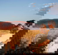 Uluru Ayers Rock Sunset with Outback Barbecue Dinner and Star Tour - Tourism Noosa