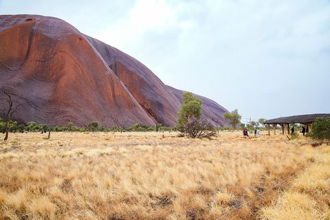 Uluru Sunrise And Guided Base Walk - Tourism Noosa 6