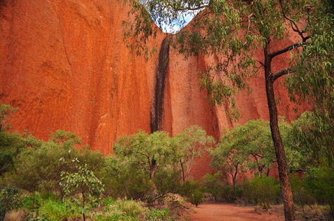 Uluru Sunrise And Guided Base Walk - Tourism Noosa 14